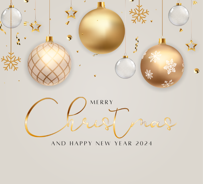 Merry Christmas & Happy New Year 2024